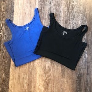 Ann Taylor LOFT Tank Top Bundle